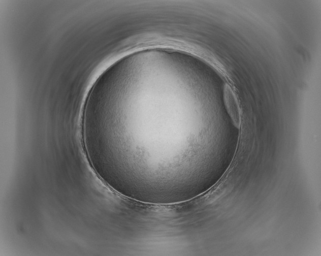 X0000112511536200908171323