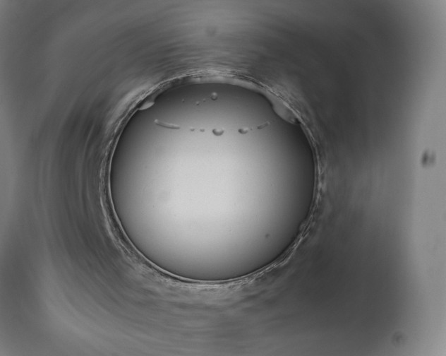 X0000112510001200908241431