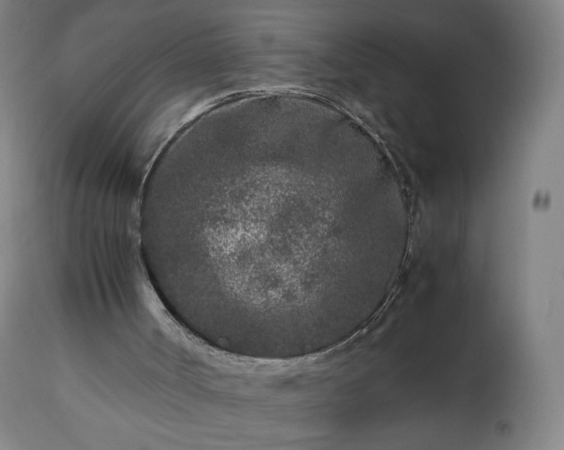 X0000112510002200908241431