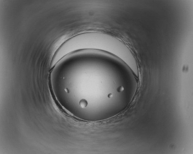 X0000112510003200908241431