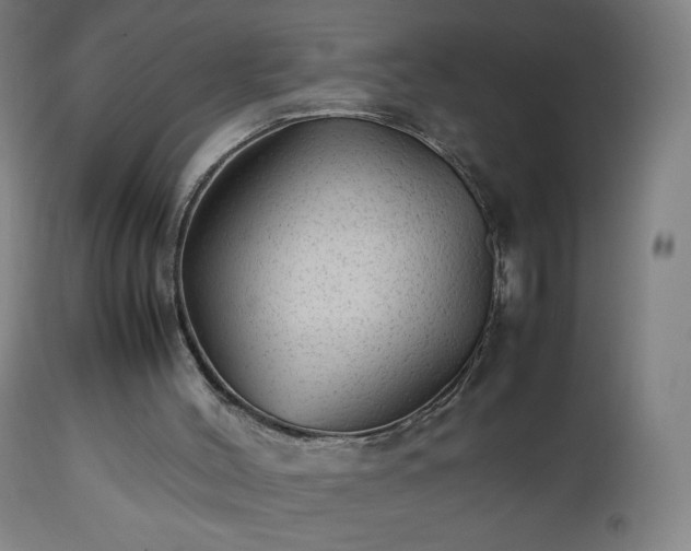 X0000112510004200908241431