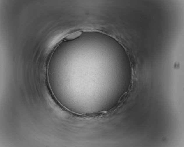 X0000112510005200908241431