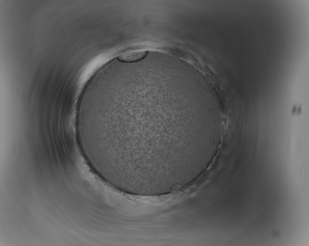 X0000112510006200908241431