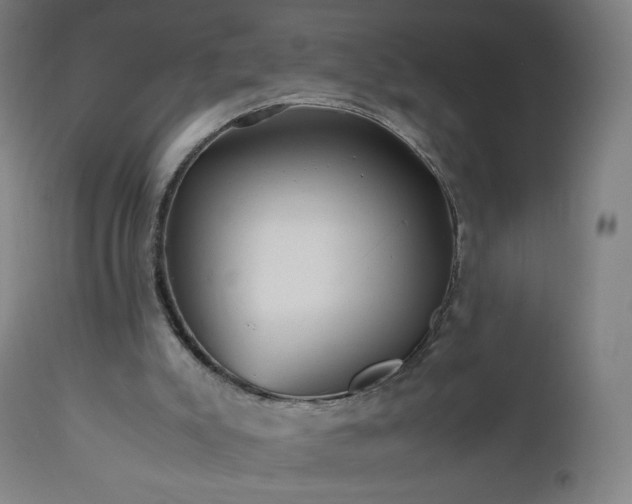 X0000112510007200908241431