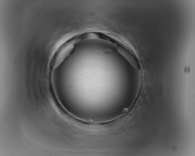 X0000112510008200908241431