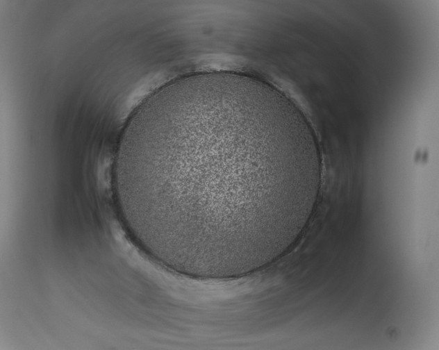 X0000112510010200908241431