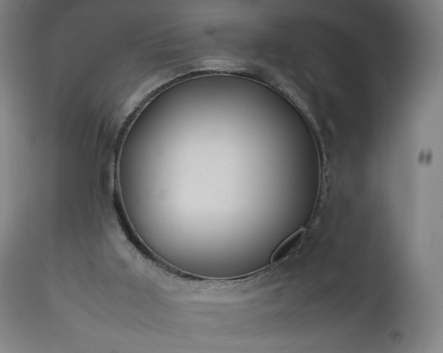 X0000112510011200908241431