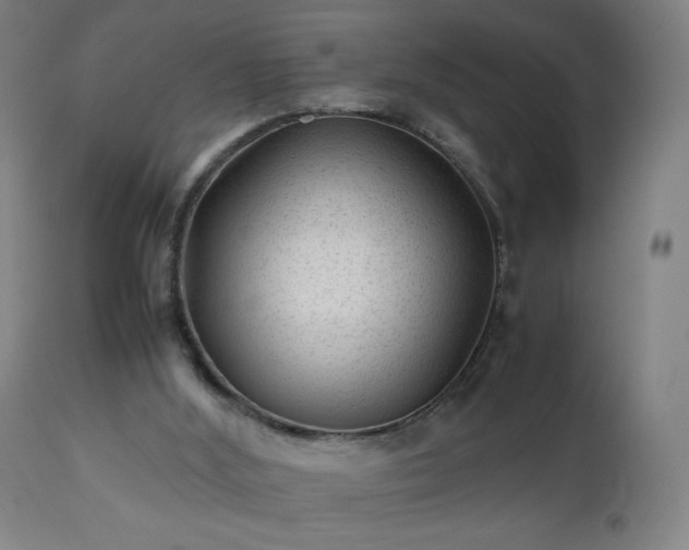 X0000112510012200908241431