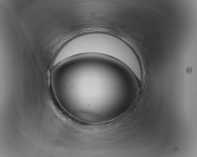 X0000112510013200908241431