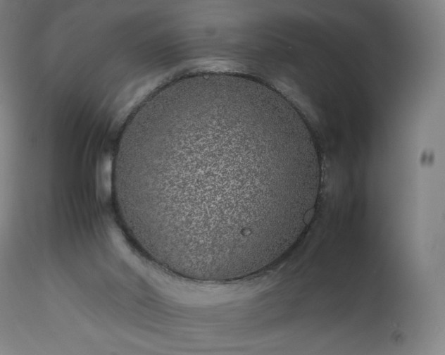 X0000112510014200908241431