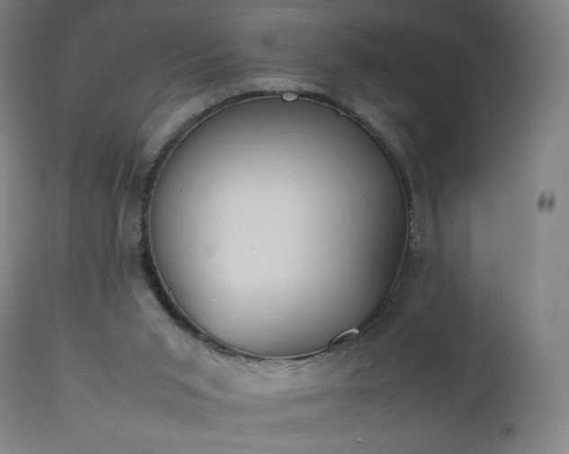 X0000112510015200908241431