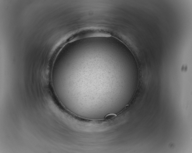 X0000112510016200908241431