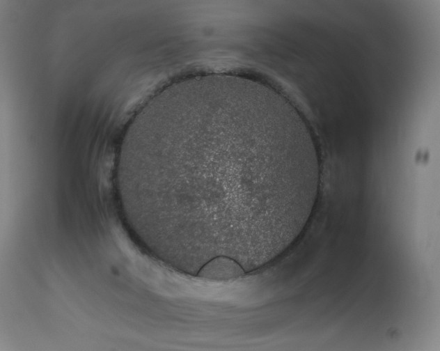 X0000112510018200908241431