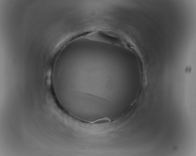 X0000112510019200908241431