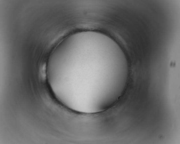 X0000112510020200908241431