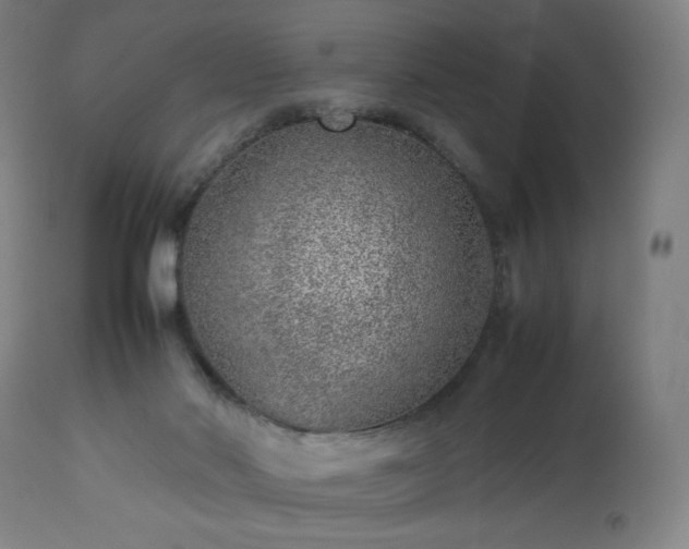 X0000112510022200908241431