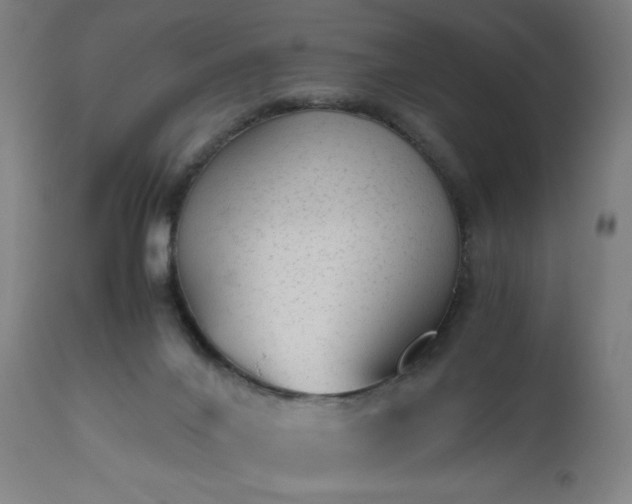 X0000112510024200908241431