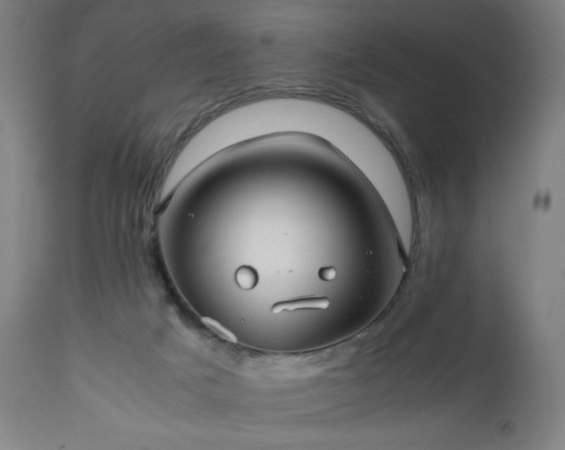 X0000112510025200908241431