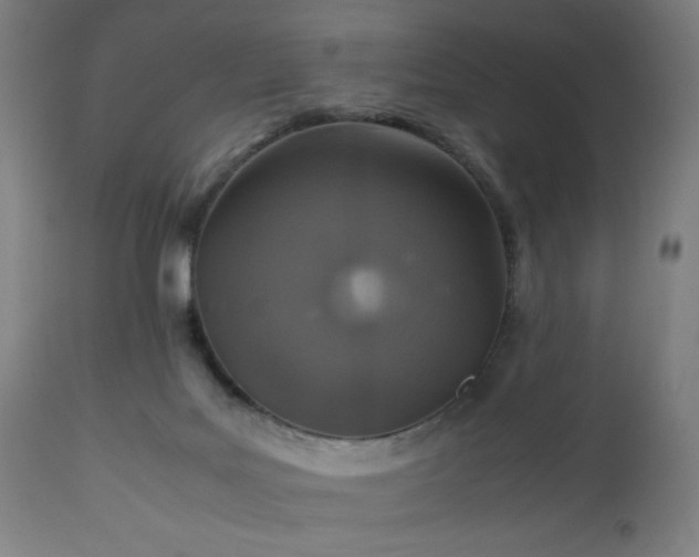 X0000112510027200908241431