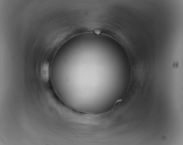 X0000112510028200908241431