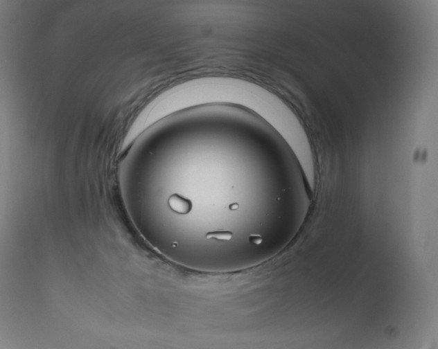 X0000112510029200908241431