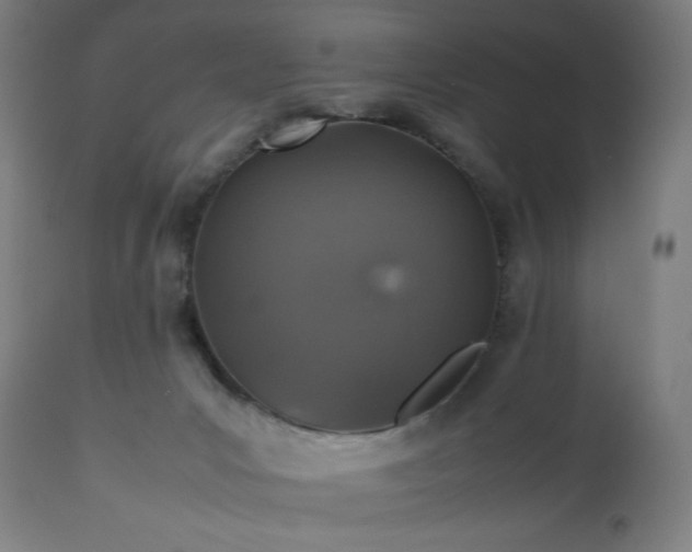 X0000112510031200908241430