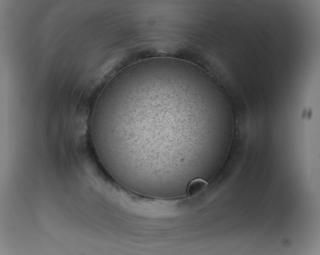 X0000112510032200908241430