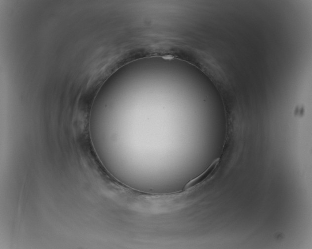 X0000112510033200908241430