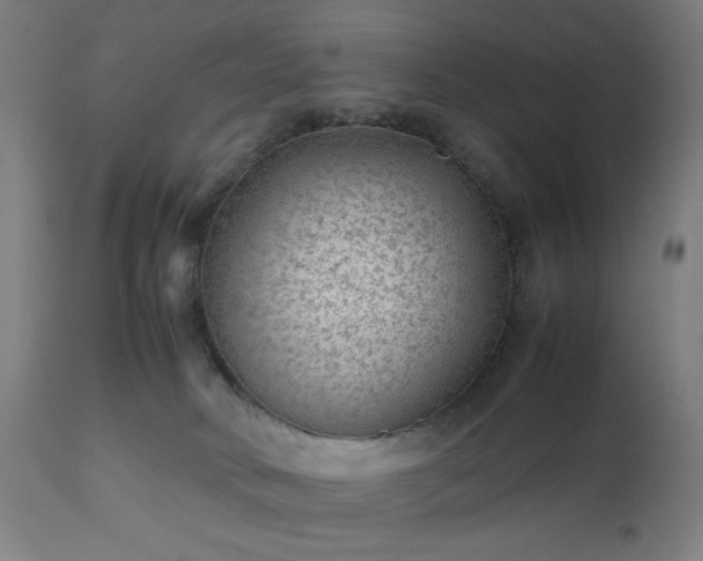 X0000112510034200908241430