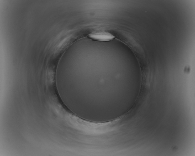 X0000112510035200908241430