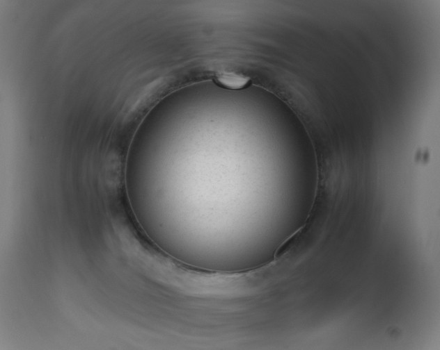 X0000112510036200908241430