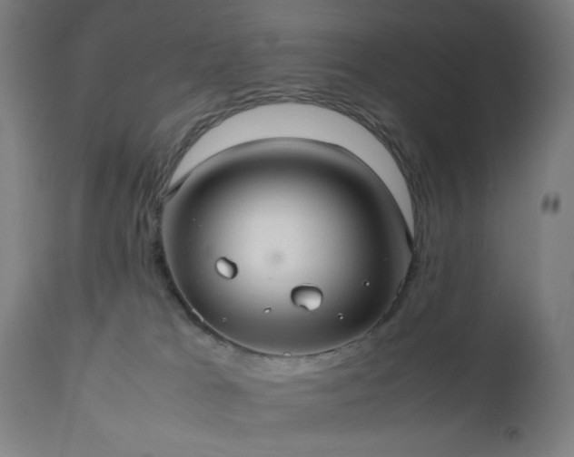 X0000112510037200908241430