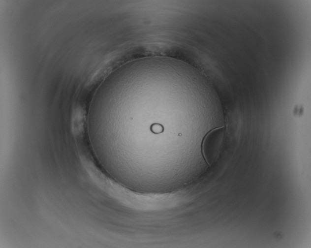 X0000112510038200908241430