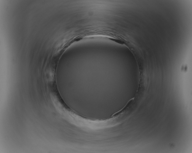 X0000112510039200908241430