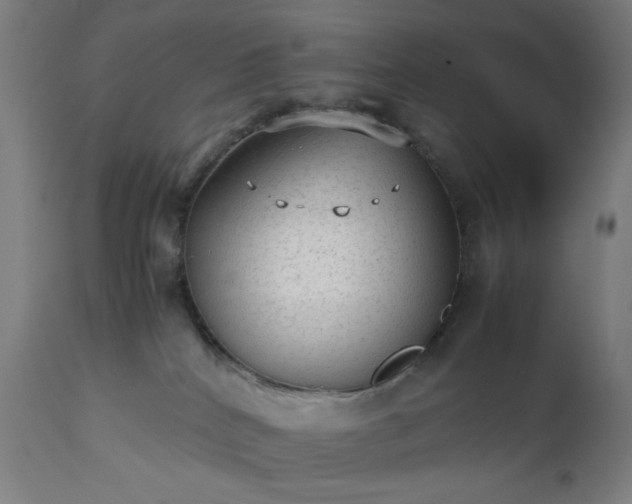 X0000112510040200908241430