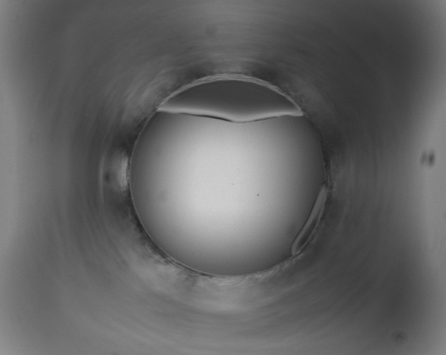 X0000112510041200908241430