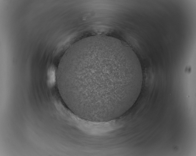 X0000112510042200908241430