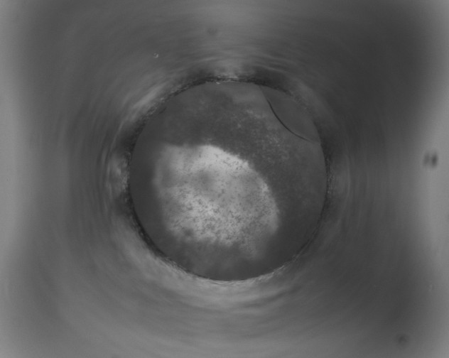 X0000112510043200908241430