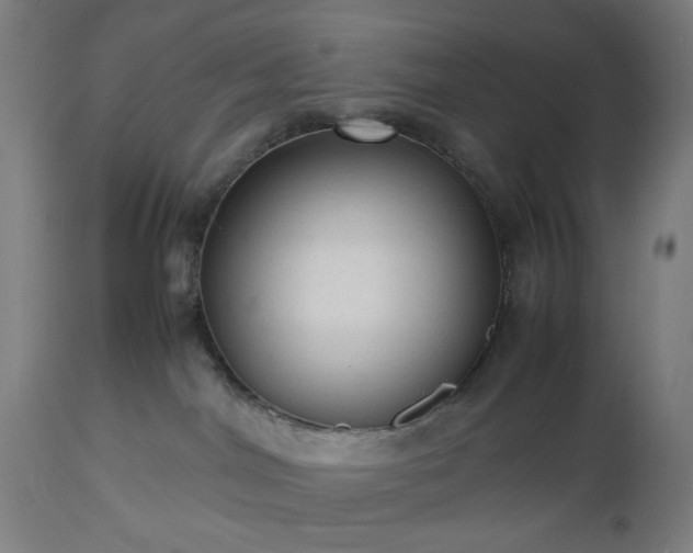 X0000112510044200908241430