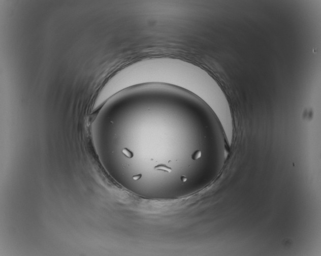 X0000112510045200908241430