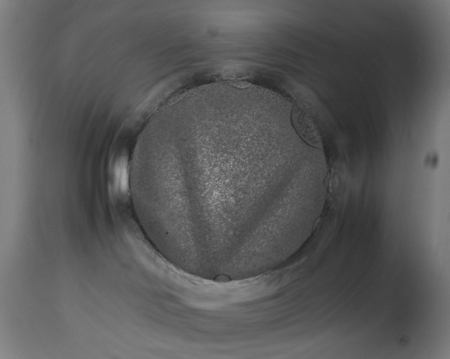 X0000112510046200908241430