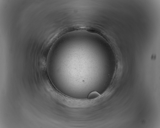 X0000112510048200908241430