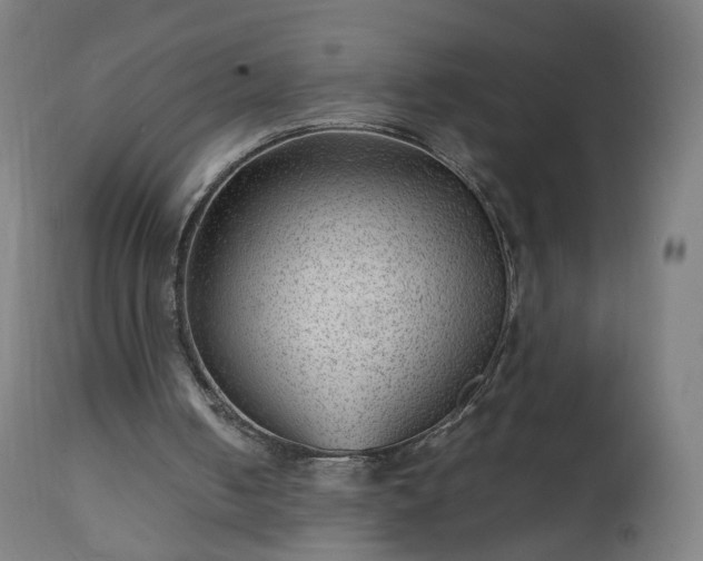 X0000112510050200908241430