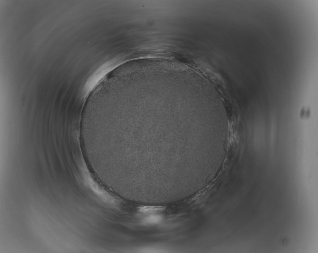 X0000112510051200908241430