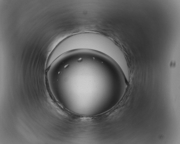 X0000112510052200908241430