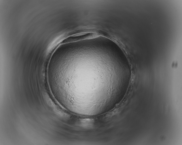 X0000112510053200908241430