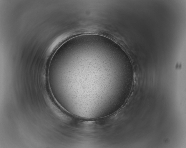 X0000112510054200908241430