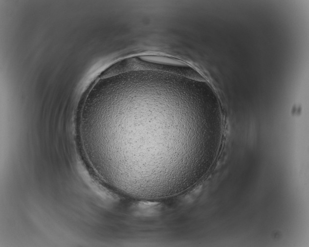 X0000112510055200908241430