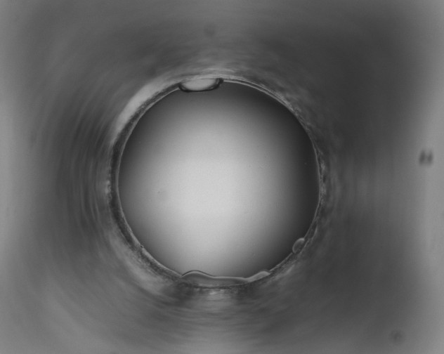 X0000112510056200908241430