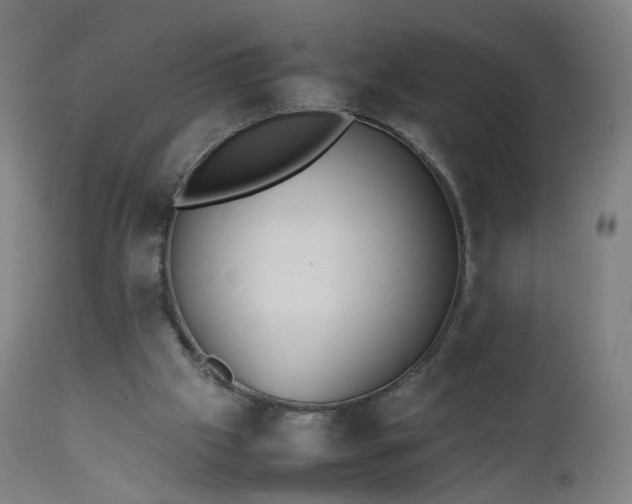 X0000112510057200908241430